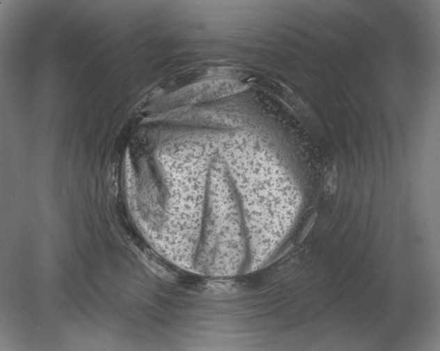 X0000080740666200701051146