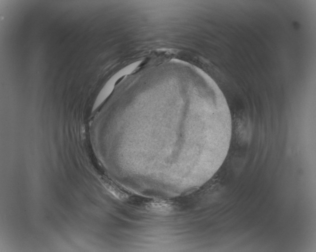 X0000080740668200701051146