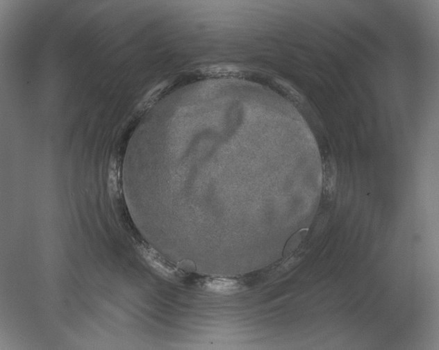 X0000080740669200701051146