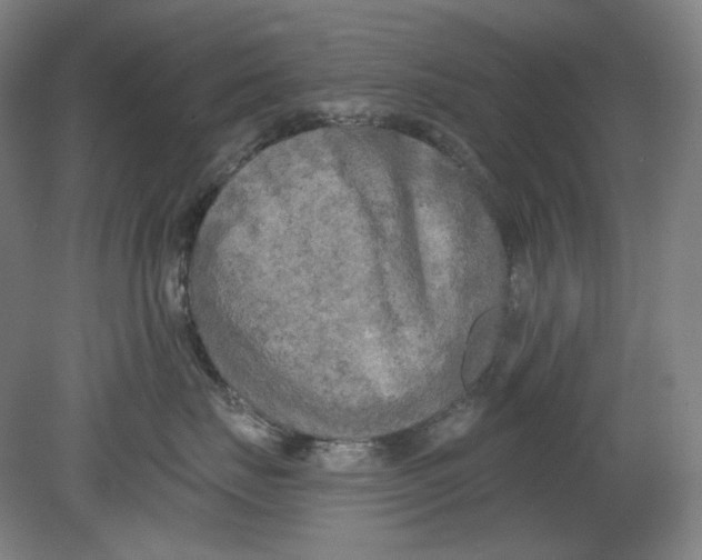 X0000080740671200701051146