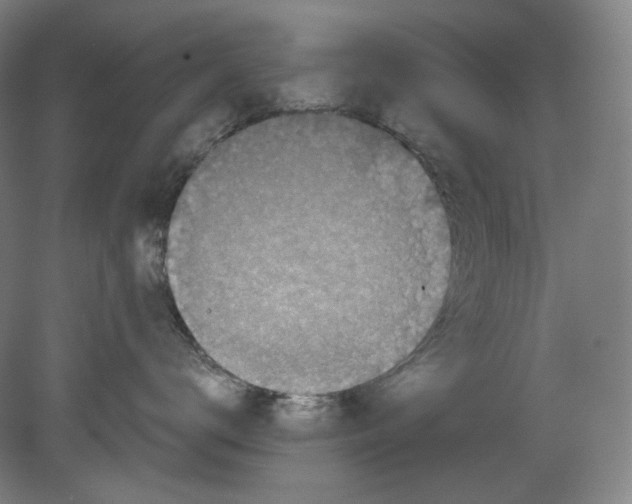 X0000080740672200701051146