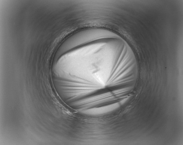 X0000080740673200701051145