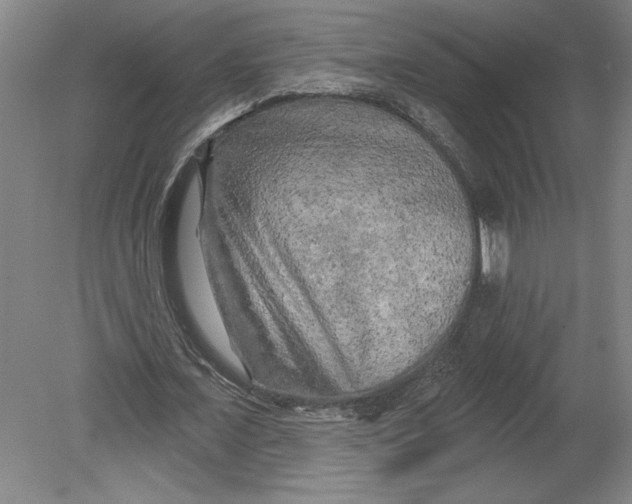 X0000080740675200701051145