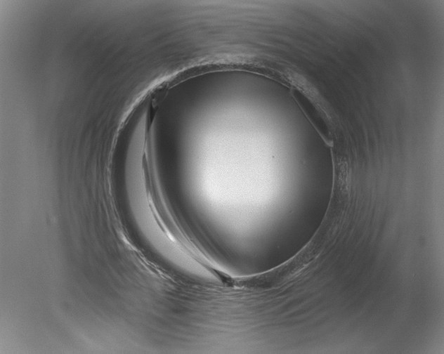 X0000080740676200701051145