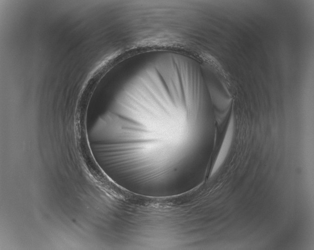 X0000080740680200701051145