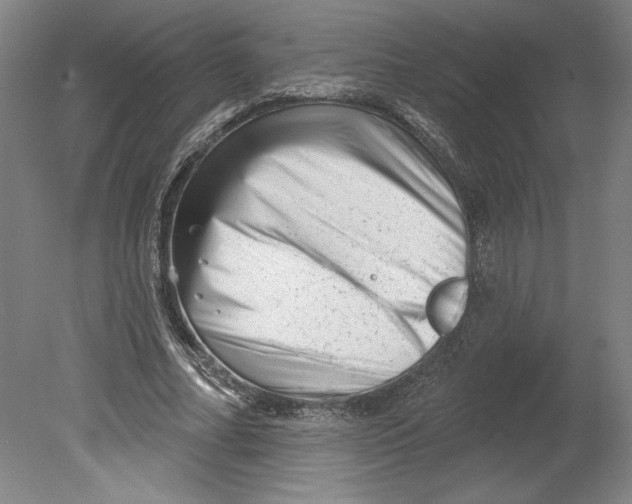 X0000080740682200701051145