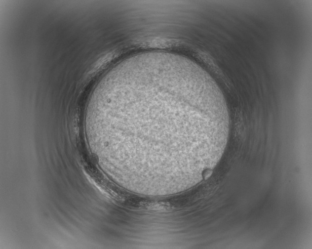 X0000080740683200701051145