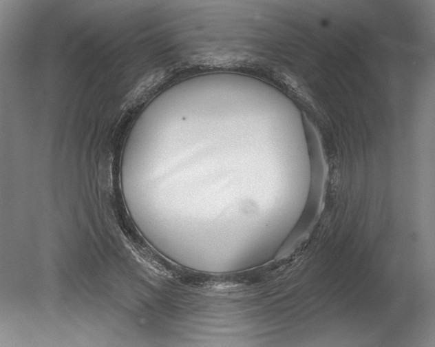 X0000080740685200701051145