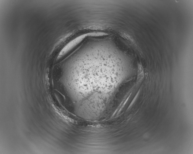 X0000080740688200701051145