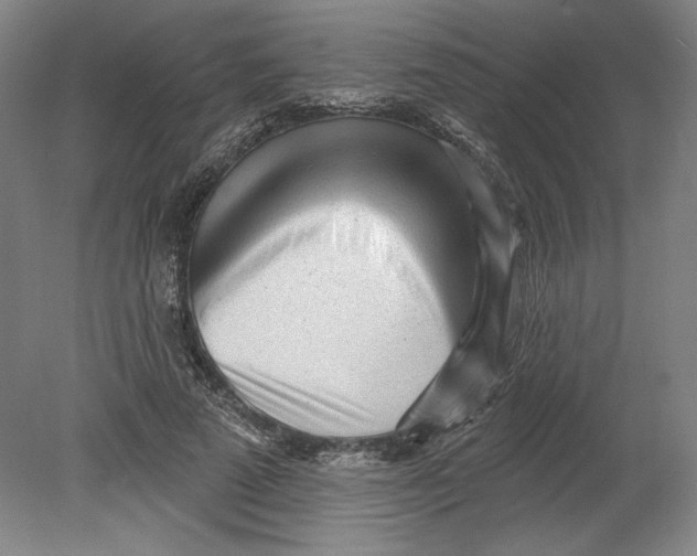 X0000080740689200701051145