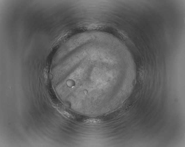 X0000080740691200701051145