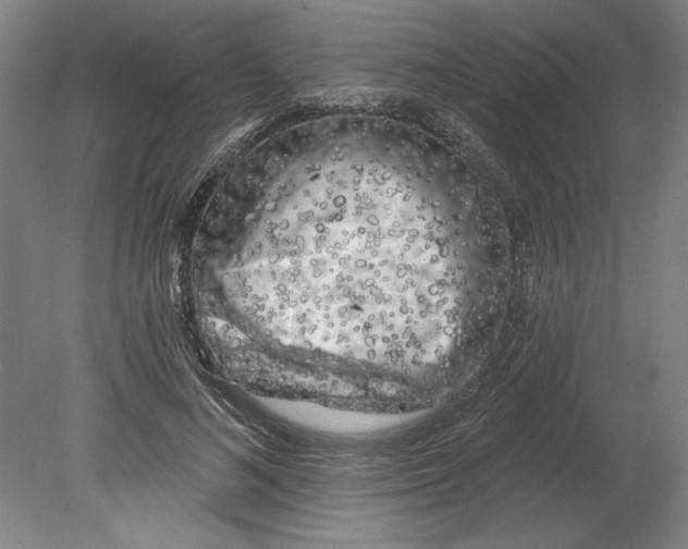 X0000080740692200701051145