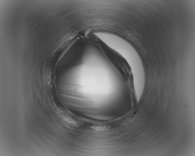 X0000080740693200701051145