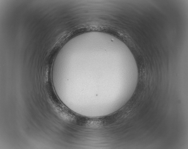 X0000080740694200701051145