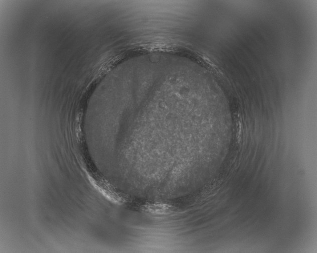 X0000080740695200701051145