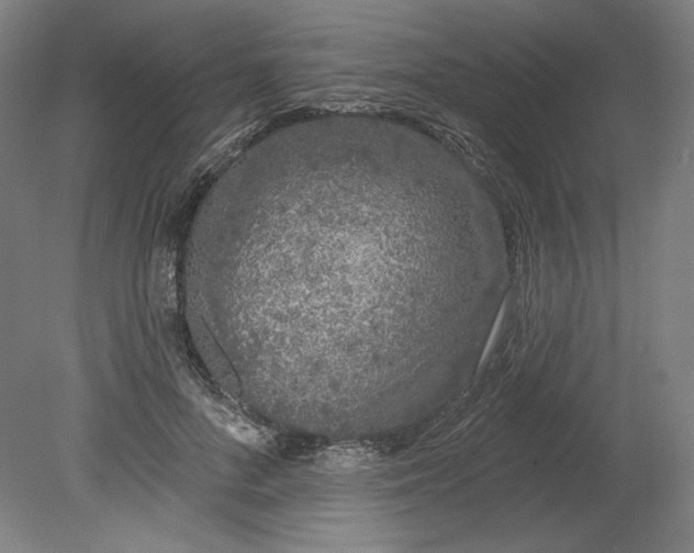 X0000080740696200701051145