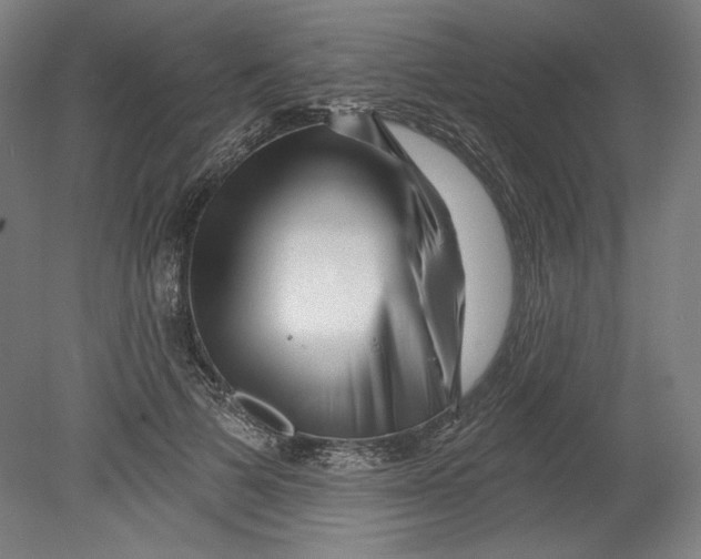 X0000080740697200701051145