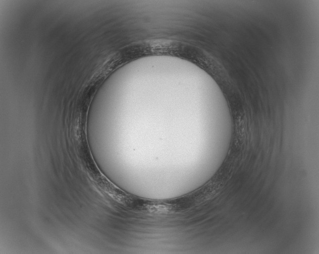 X0000080740698200701051145