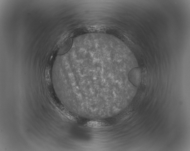 X0000080740699200701051145