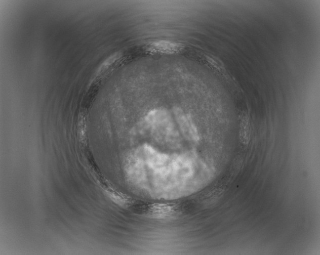 X0000080740701200701051145