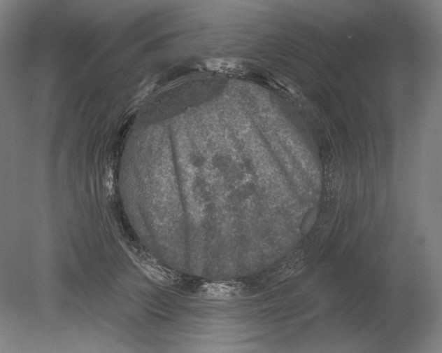 X0000080740703200701051145