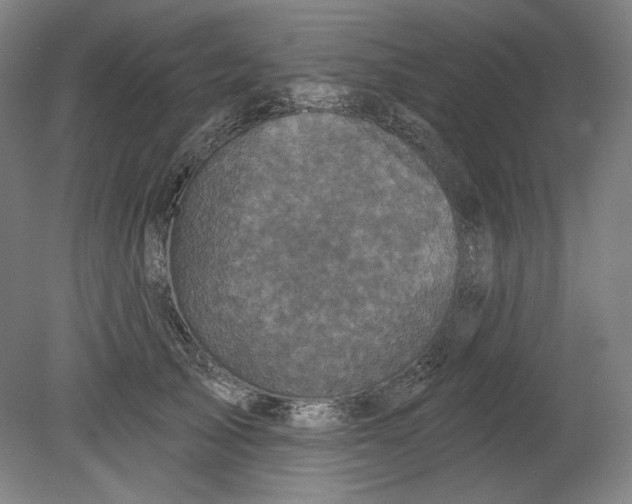 X0000080740705200701051145