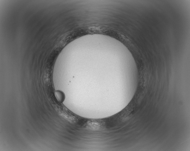 X0000080740706200701051145