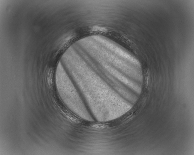 X0000080740708200701051144