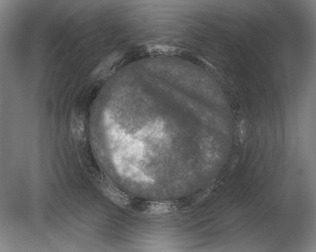 X0000080740709200701051144