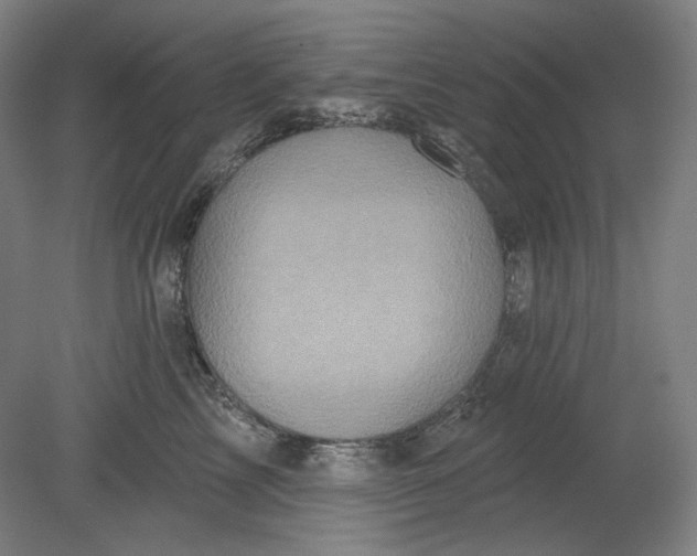 X0000080740713200701051144