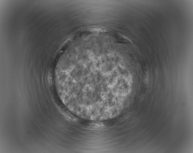 X0000080740715200701051144