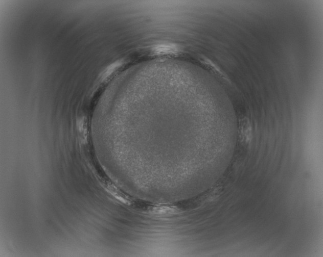 X0000080740716200701051144