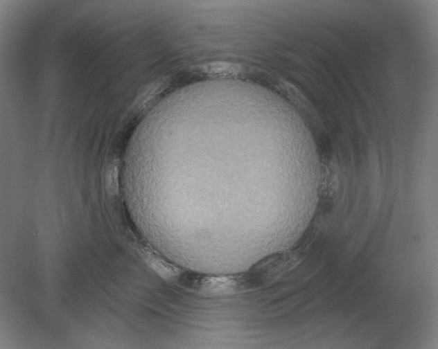 X0000080740717200701051144