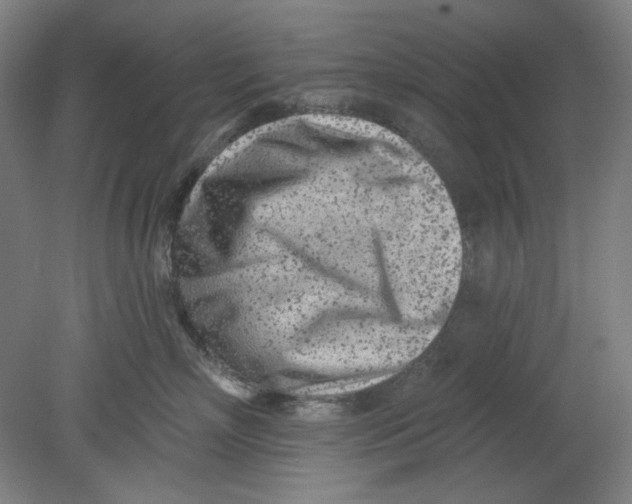 X0000080740718200701051144