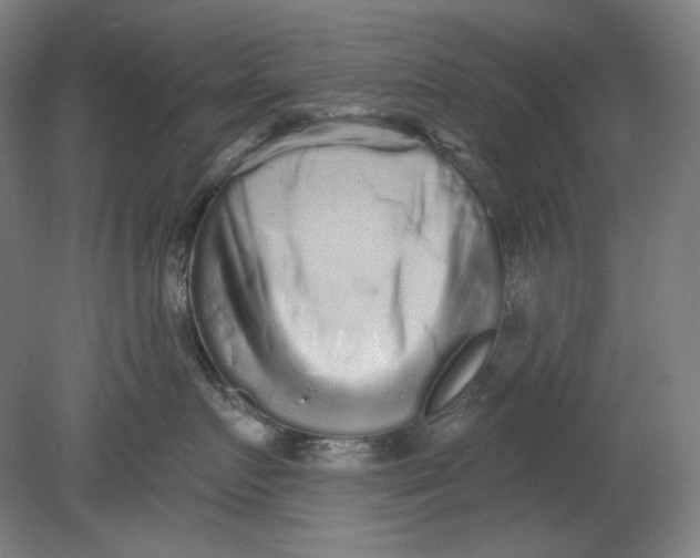 X0000080740719200701051144