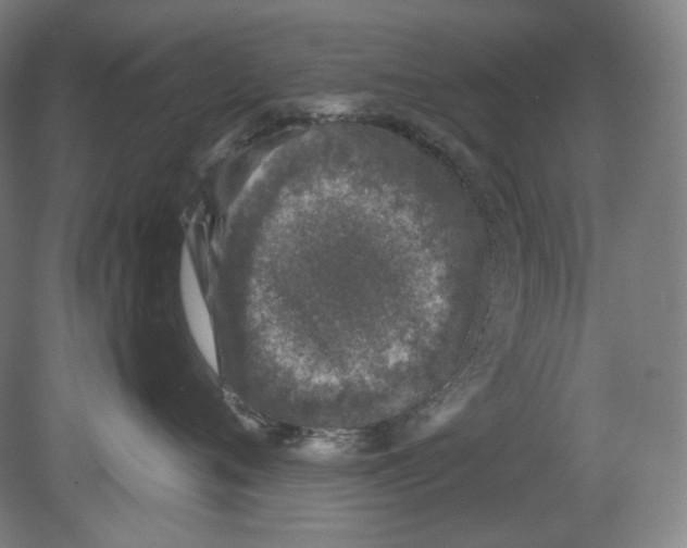 X0000080740720200701051144