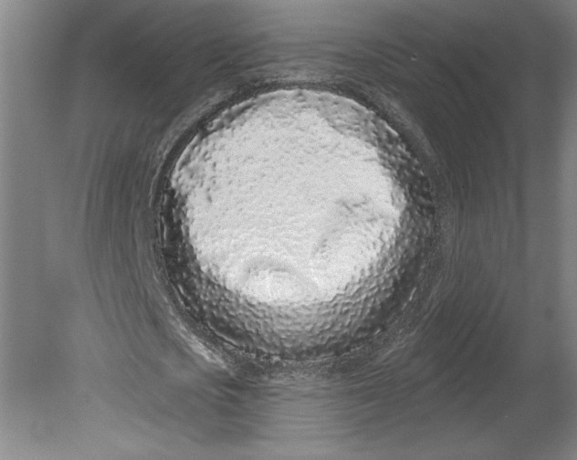 X0000080740721200701051143