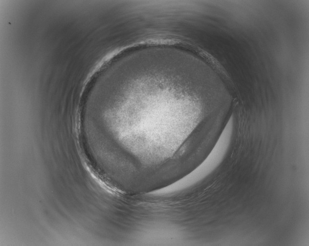 X0000080740726200701051144