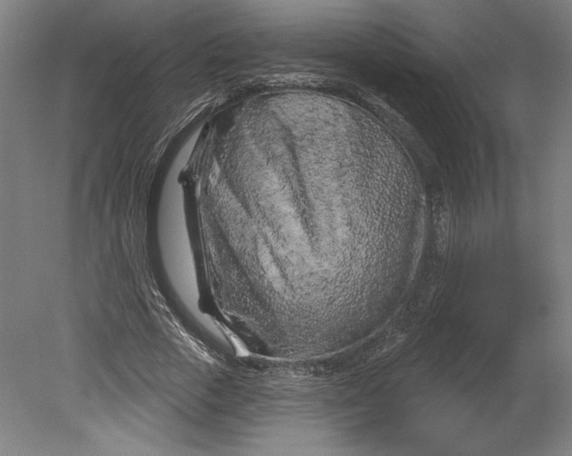 X0000080740729200701051144