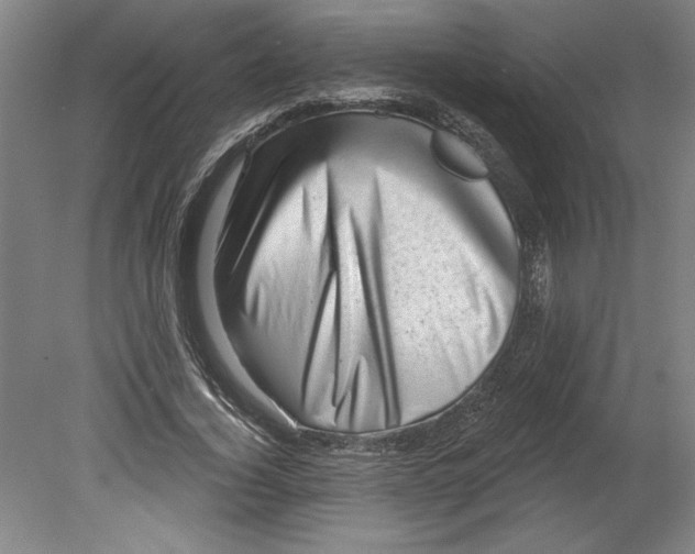 X0000080740732200701051144