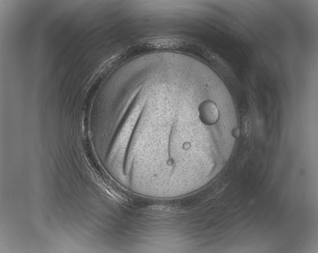 X0000080740733200701051144