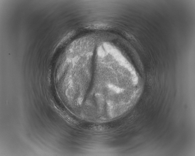 X0000080740735200701051144