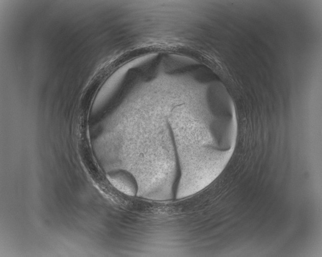 X0000080740736200701051144