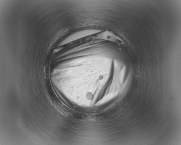 X0000080740738200701051144