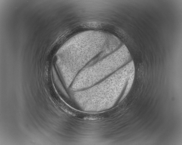 X0000080740739200701051144