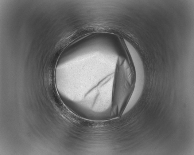 X0000080740740200701051144