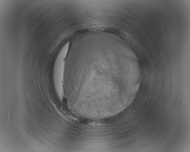 X0000080740742200701051144