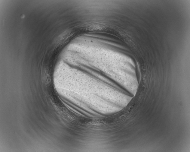 X0000080740743200701051144