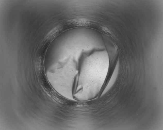 X0000080740744200701051144