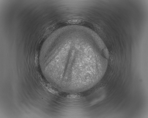 X0000080740745200701051144